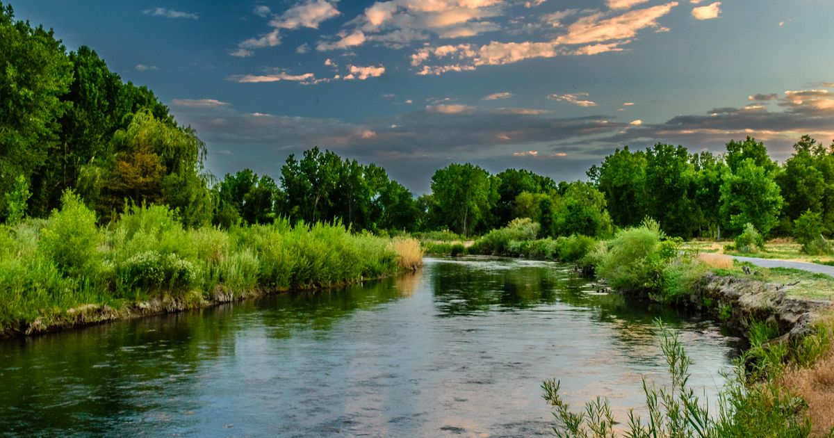 Solo Landscaper Software Checklist — landscaping business photo
